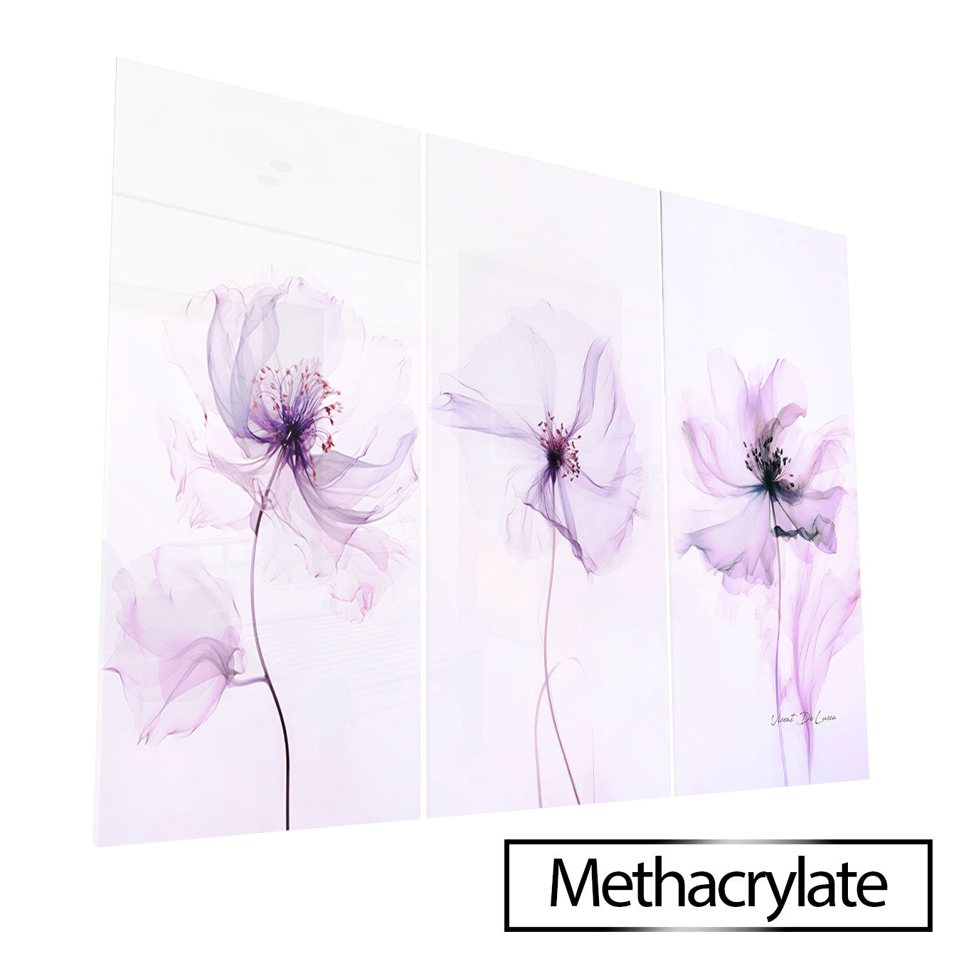 Floral Softness - 3 Parts