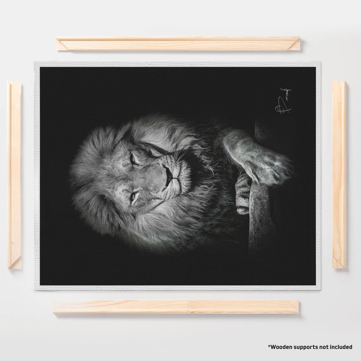 Douceur Florale - 3 Parties