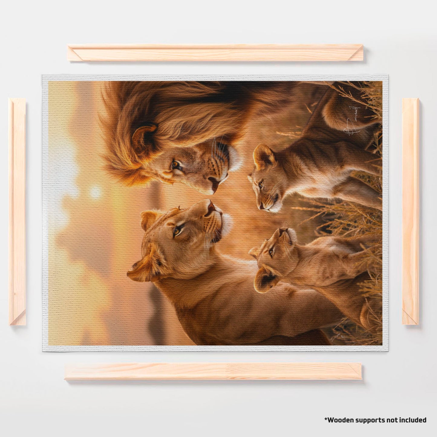 Family of Lions in Serene Fields