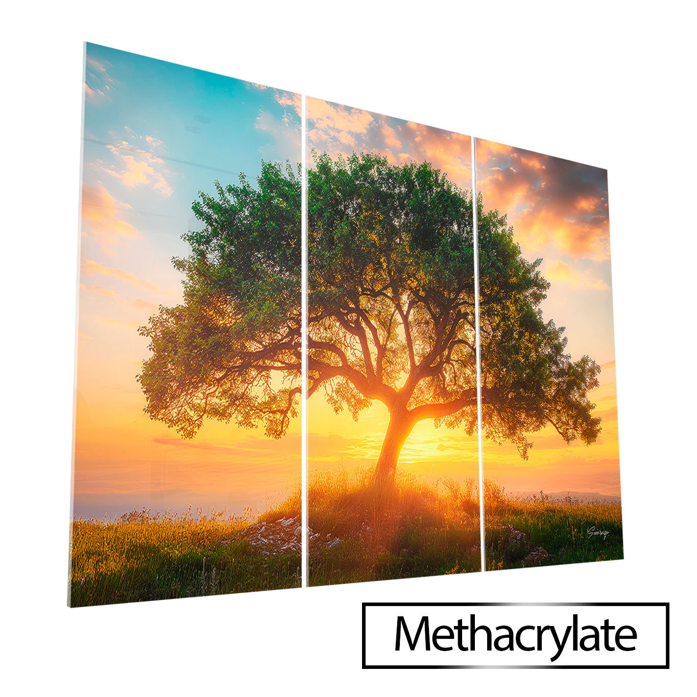 Tree at Dusk - 3 Parts – Prime Wall Art