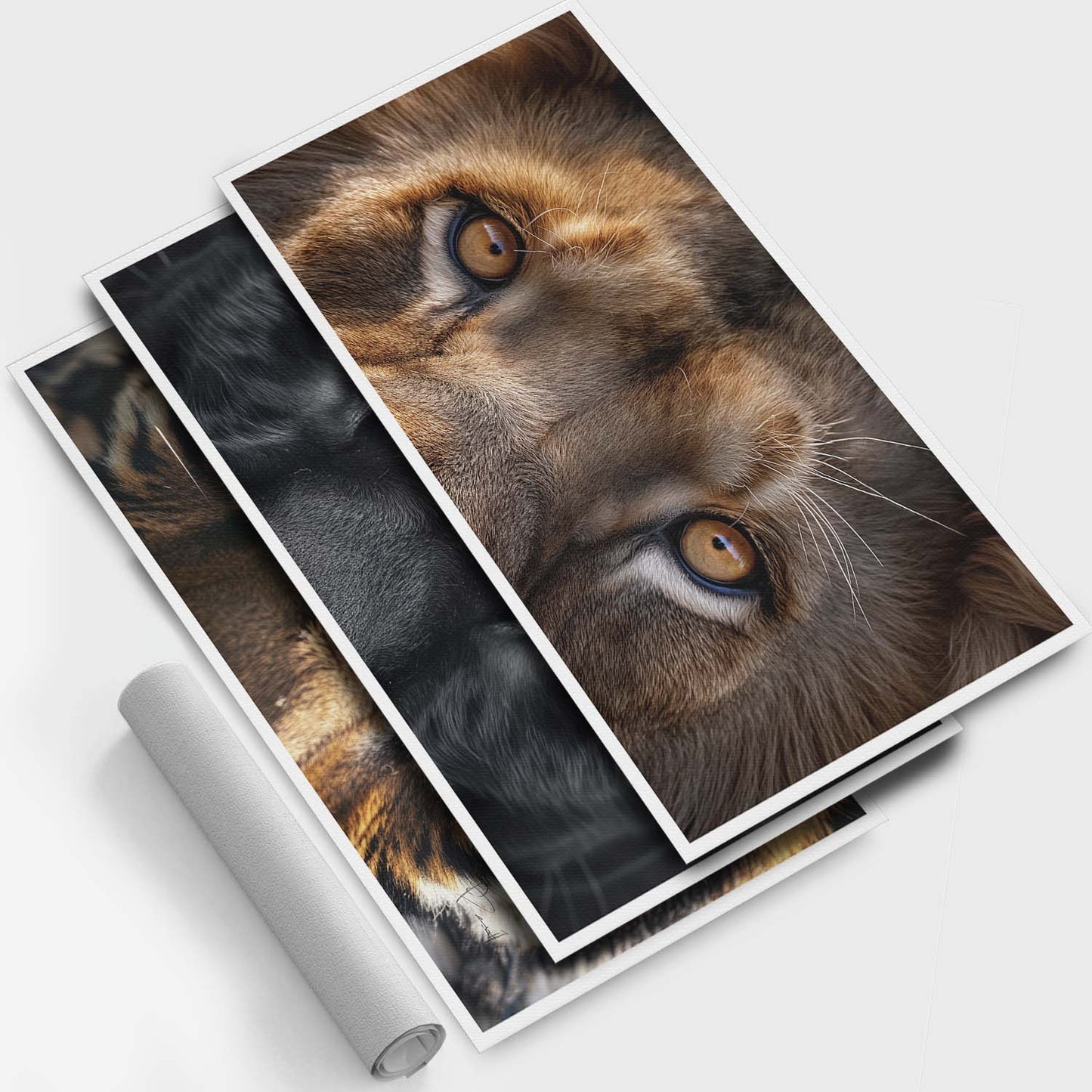 Look sauvage - 3 parties