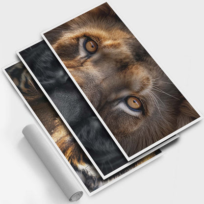 Look sauvage - 3 parties