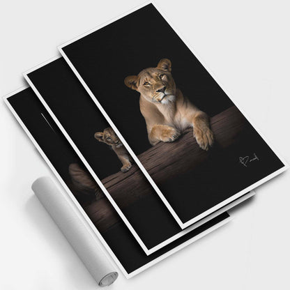 शेरों का परिवार काले रंग में - 3 भाग 