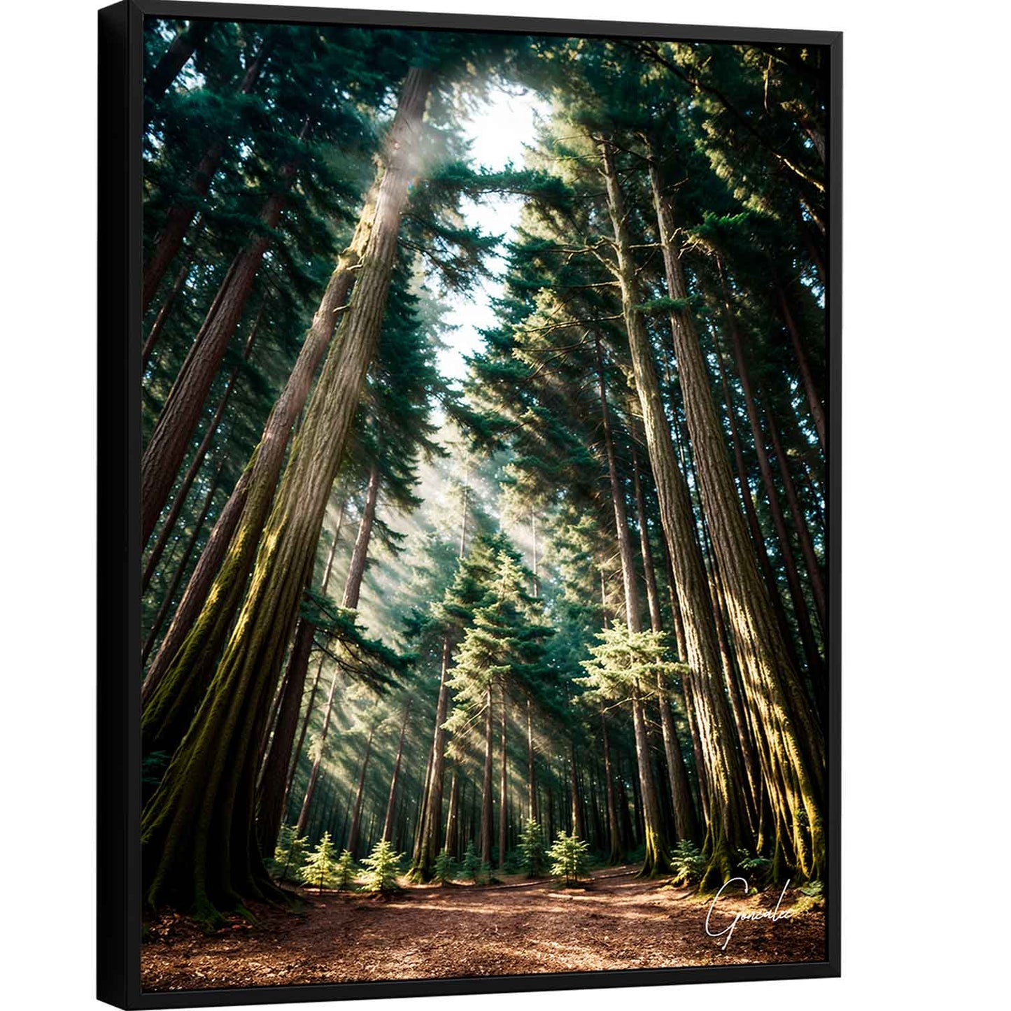 Mary Among the Trees