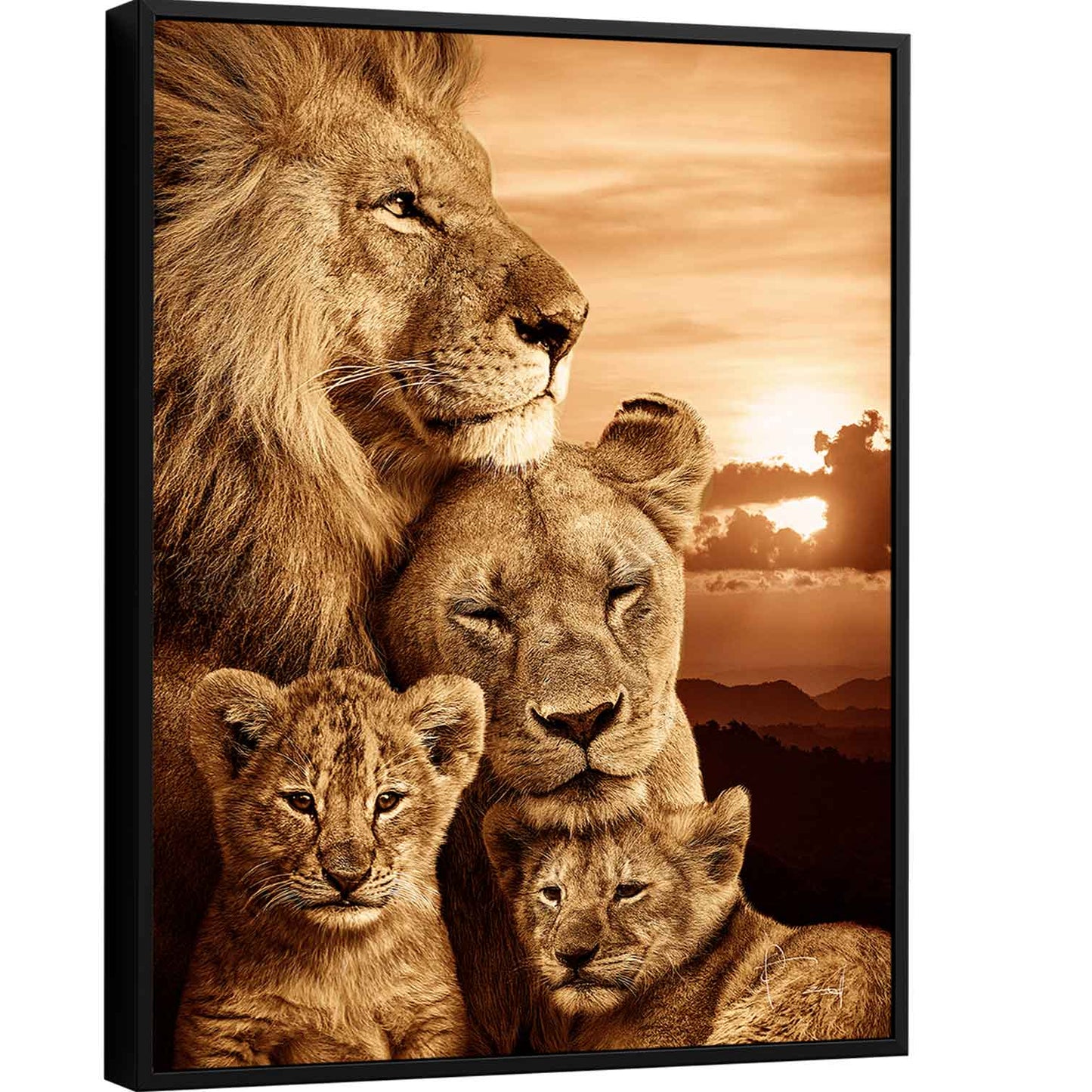 Colorful Lion Family