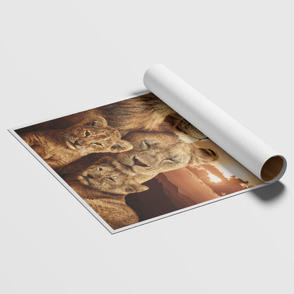 Colorful Lion Family