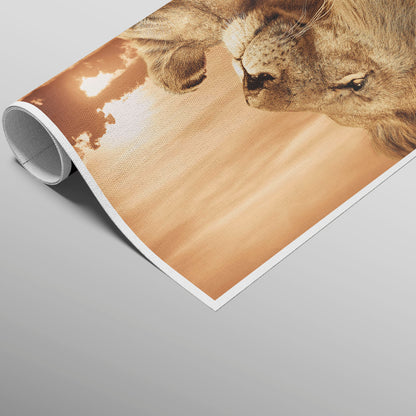 Colorful Lion Family