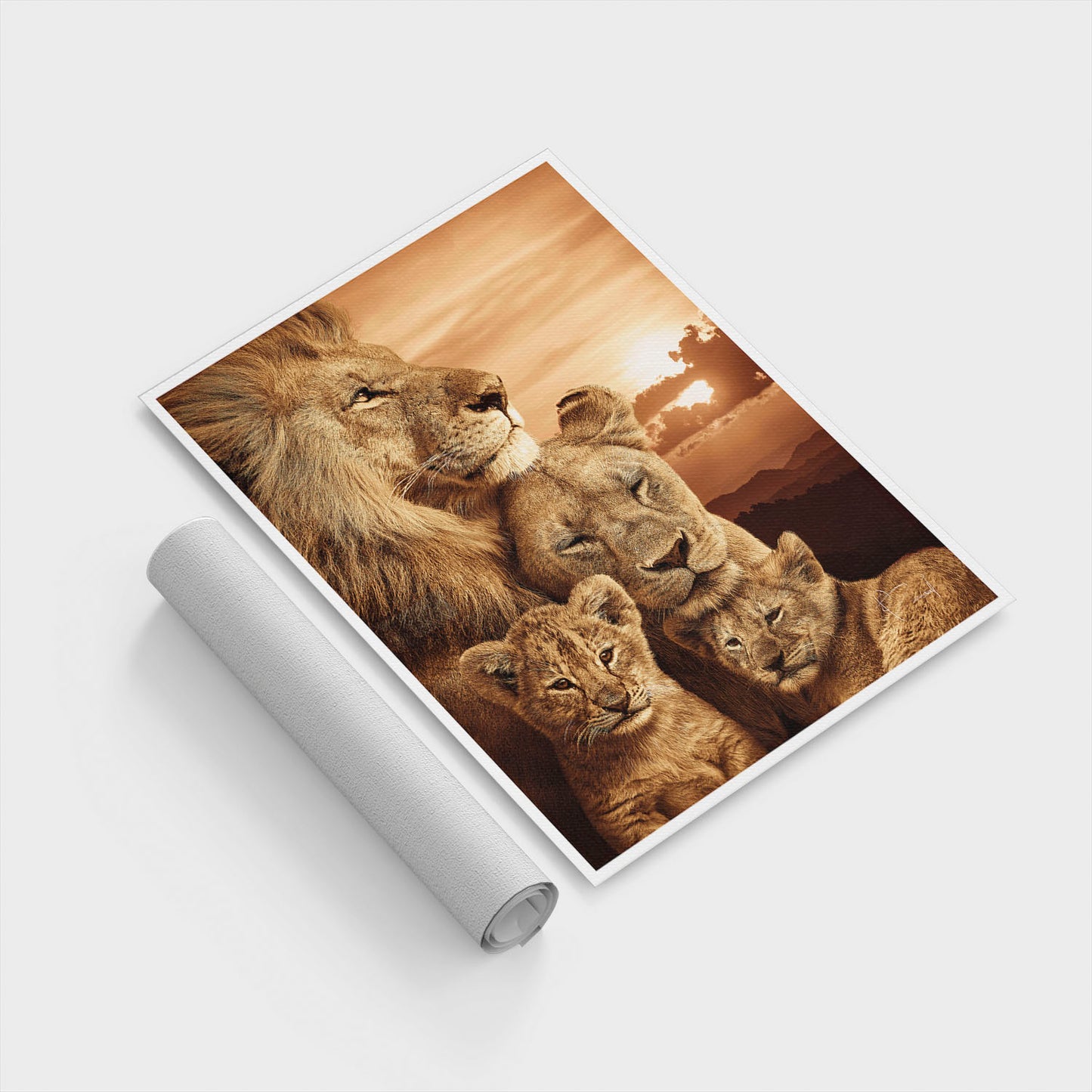 Colorful Lion Family