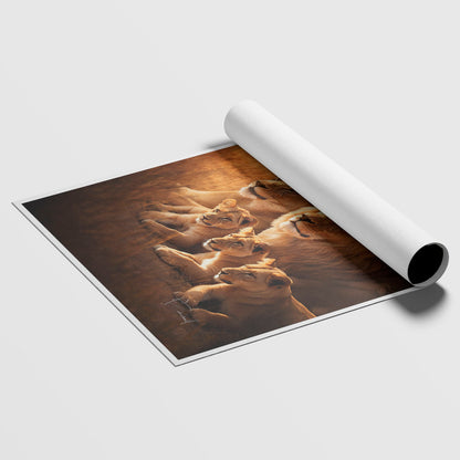 अमूर्त रंगीन पर्वत - 3 भाग