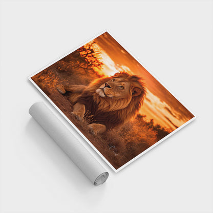 Lion at Sunset