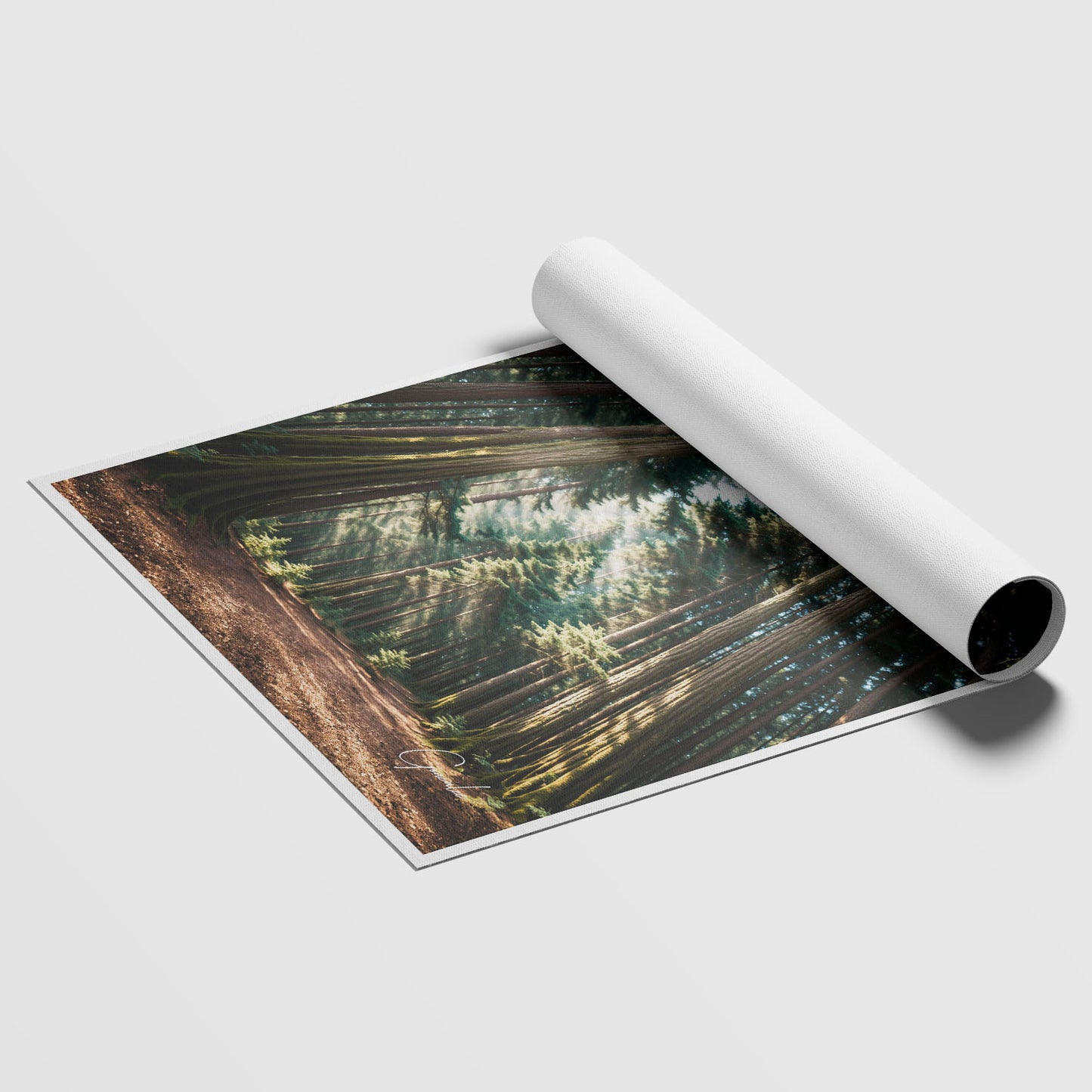 Mary Among the Trees