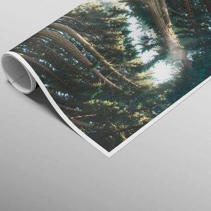 Mary Among the Trees