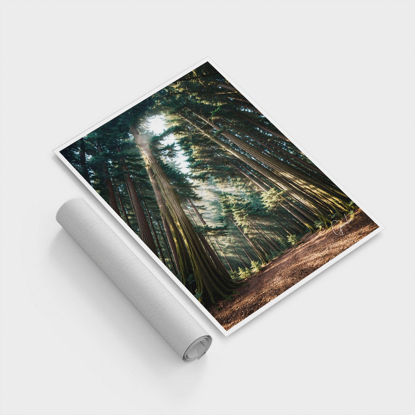 Mary Among the Trees