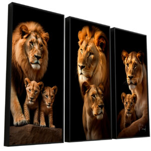 Portraits of The Lion Family 3 Cubs - 3 Parts